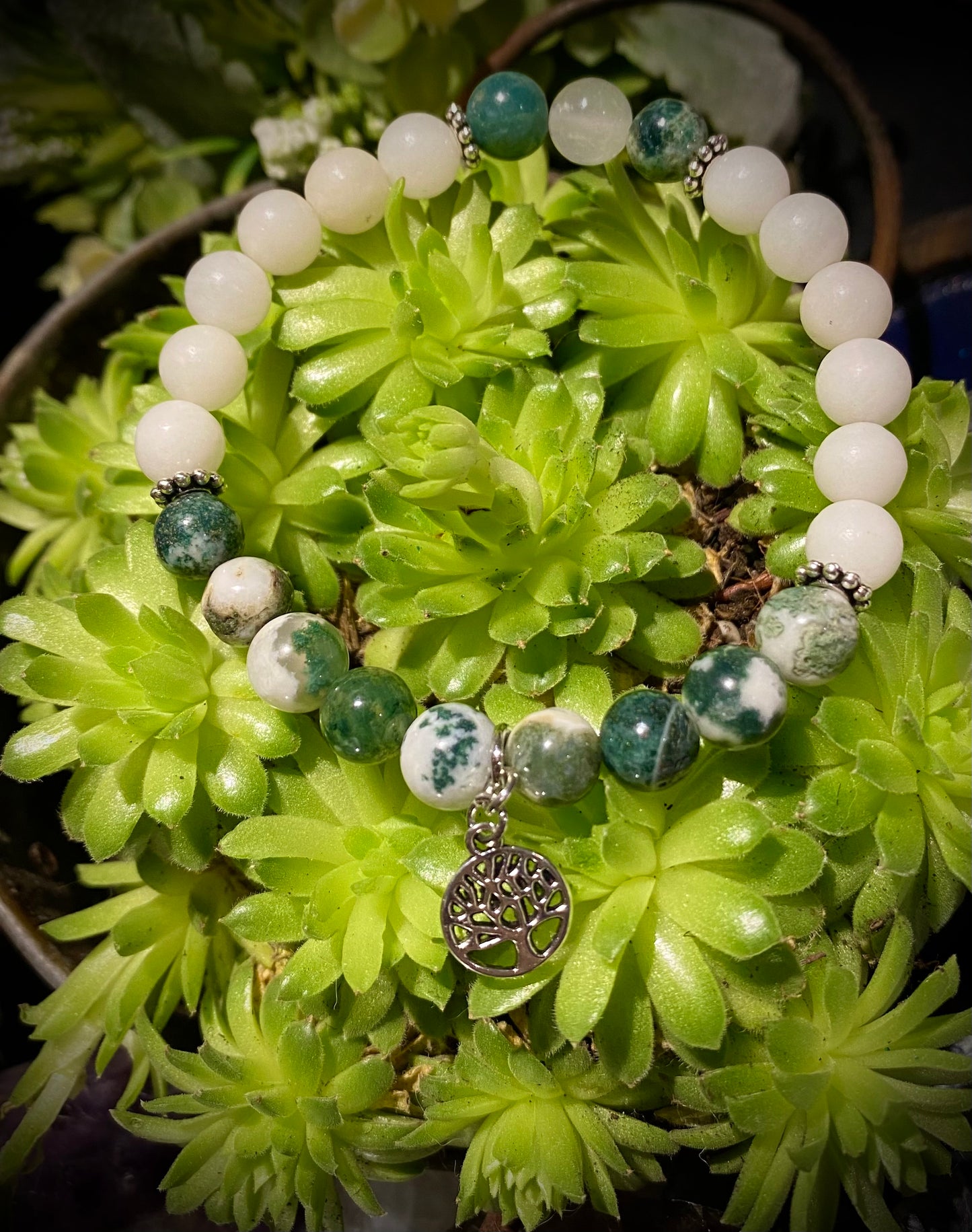 You Gotta Friend in Me!